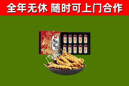 涟源烟酒回收冬虫夏草礼盒.jpg